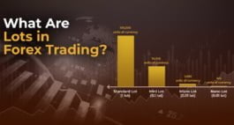 lots in forex trading